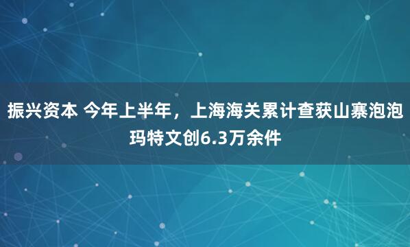 振兴资本 今年上半年，上海海关累计查获山寨泡泡玛特文创6.3万余件