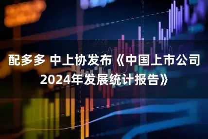 配多多 中上协发布《中国上市公司2024年发展统计报告》