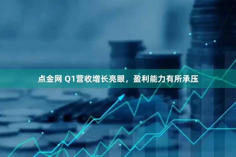 点金网 Q1营收增长亮眼，盈利能力有所承压